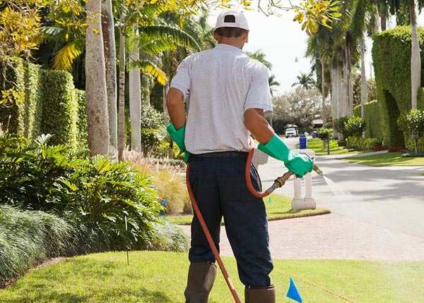 About Mount Holly Springs PA Pest Control Pros